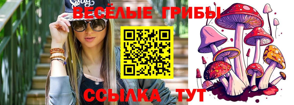 Галлюциногенные грибы GOLDEN TEACHER  Галлюциногенные грибы MAGIC MUSHROOMS  Камень-на-Оби  Вход с VPN 
